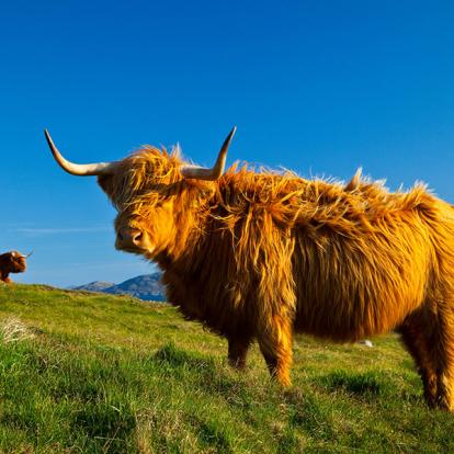 Ile De Lewis A Découvrir en Ecosse - Lewis et Harris