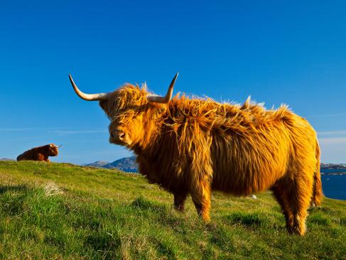 Ile De Lewis A Découvrir en Ecosse - Lewis et Harris