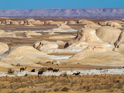 Desert At Farafra A Découvrir en Egypte - Le  Désert Libyque et ses Oasis