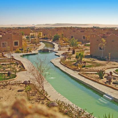 A Découvrir en Egypte - Le  Désert Libyque et ses Oasis