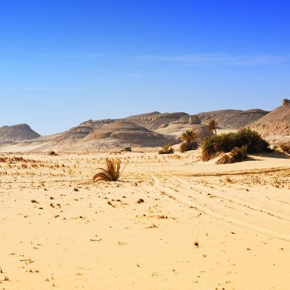 Western Desert A Découvrir en Egypte - Le  Désert Libyque et ses Oasis