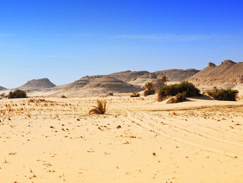 Western Desert A Découvrir en Egypte - Le  Désert Libyque et ses Oasis