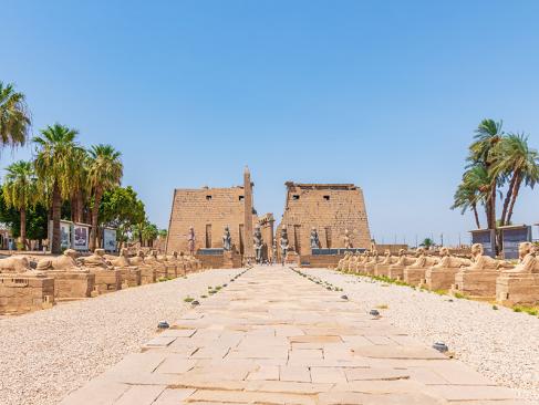 Louxor - Allée Des Sphinx A Découvrir en Egypte - Louxor et Le Temple de Karnak