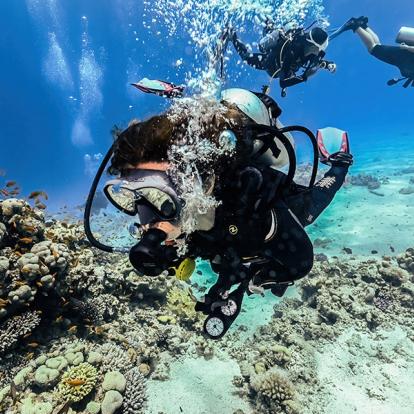 A Découvrir en Egypte - Sharm El Cheik
