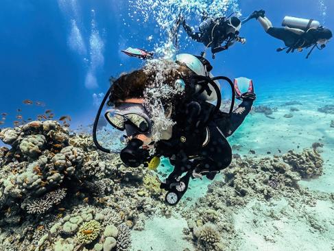 A Découvrir en Egypte - Sharm El Cheik