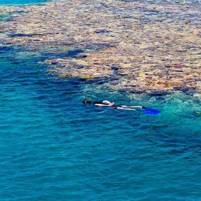 A Découvrir en Egypte - Sharm El Cheik