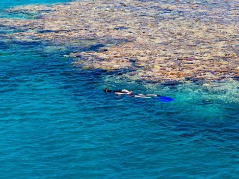A Découvrir en Egypte - Sharm El Cheik