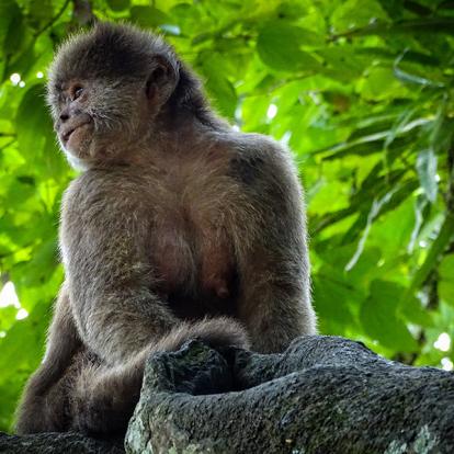 A Découvrir en Equateur - L'Amazonie Équatorienne
