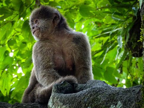 A Découvrir en Equateur - L'Amazonie Équatorienne