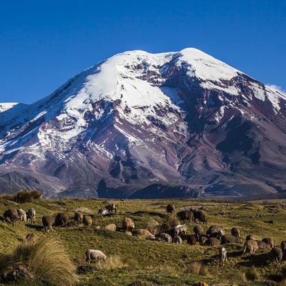 Chimborazo A Découvrir en Equateur - Volcans Cotopaxi & Chimborazo
