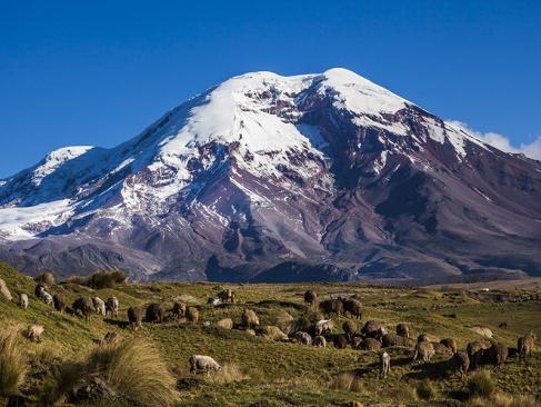 Chimborazo A Découvrir en Equateur - Volcans Cotopaxi & Chimborazo