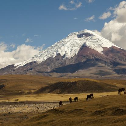 Cotopaxi A Découvrir en Equateur - Volcans Cotopaxi & Chimborazo
