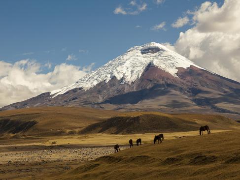 Cotopaxi A Découvrir en Equateur - Volcans Cotopaxi & Chimborazo