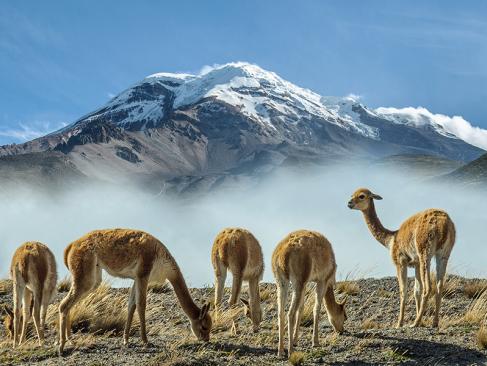 Chimborazo A Découvrir en Equateur - Volcans Cotopaxi & Chimborazo