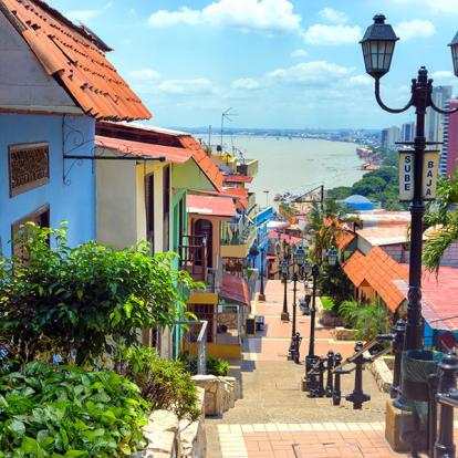 Guayaquil A Découvrir en Equateur - La Côte Pacifique