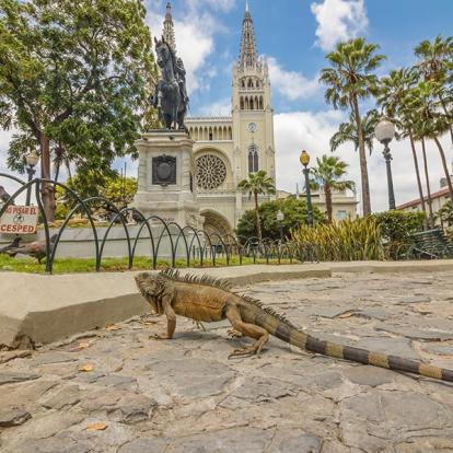 Parque De Las Iguanas à Guayaquil A Découvrir en Equateur - La Côte Pacifique