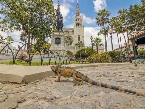 Parque De Las Iguanas à Guayaquil A Découvrir en Equateur - La Côte Pacifique