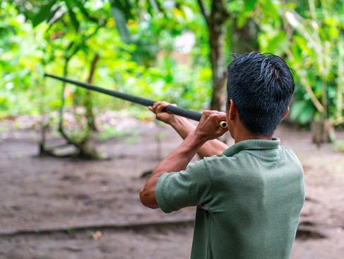 A Découvrir en Equateur - Le Parc National Yasuni