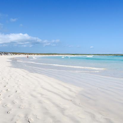Galapagos - San Cruz- Puerto Ayora - Tortuga Bay A Découvrir en Equateur - Les Iles Galapagos