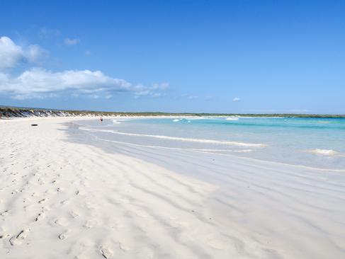 Galapagos - San Cruz- Puerto Ayora - Tortuga Bay A Découvrir en Equateur - Les Iles Galapagos