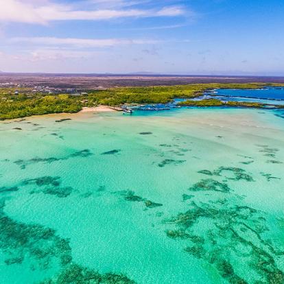 Galapagos - Isabela Island A Découvrir en Equateur - Les Iles Galapagos