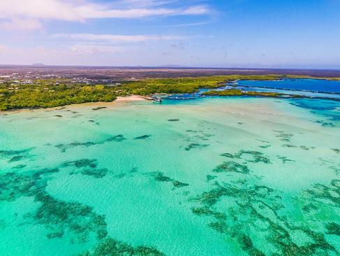 Galapagos - Isabela Island A Découvrir en Equateur - Les Iles Galapagos