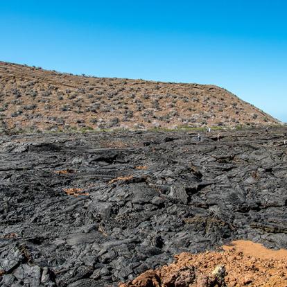 Galapagos - Santiago Island A Découvrir en Equateur - Les Iles Galapagos