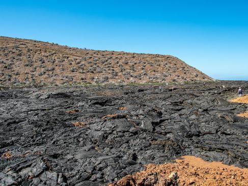Galapagos - Santiago Island A Découvrir en Equateur - Les Iles Galapagos