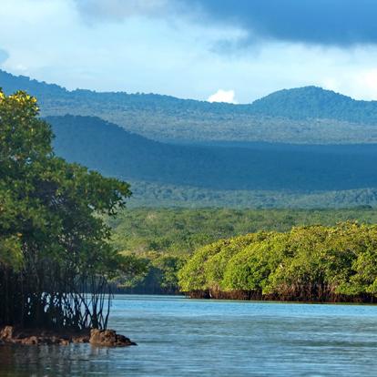 Galapagos - Baltra Island - Caleta Tortuga Negra A Découvrir en Equateur - Les Iles Galapagos