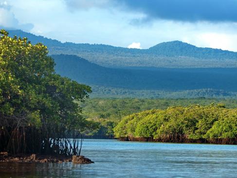 Galapagos - Baltra Island - Caleta Tortuga Negra A Découvrir en Equateur - Les Iles Galapagos