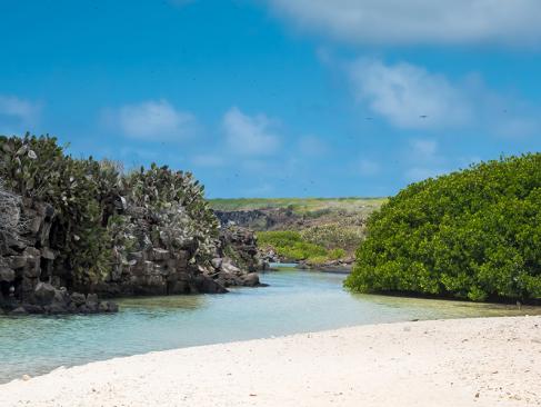 Galapagos - Genovesa Island A Découvrir en Equateur - Les Iles Galapagos