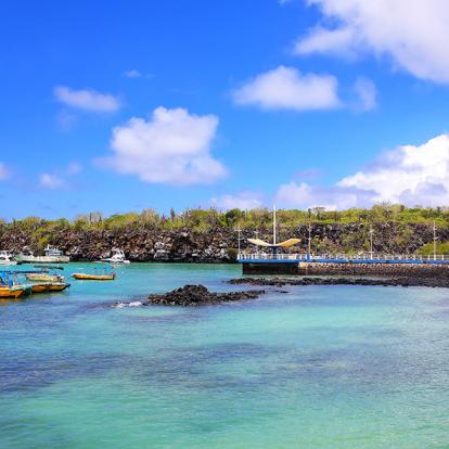 Galapagos - Santa Cruz Island - Puerto Ayora A Découvrir en Equateur - Les Iles Galapagos