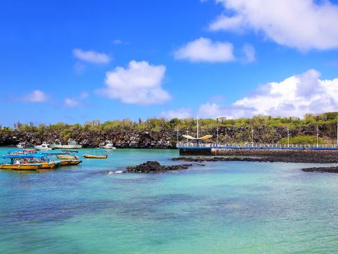Galapagos - Santa Cruz Island - Puerto Ayora A Découvrir en Equateur - Les Iles Galapagos