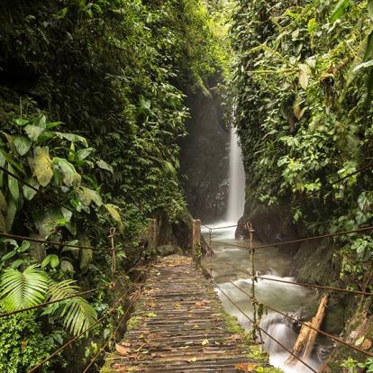A Découvrir en Equateur - La Forêt de Mindo