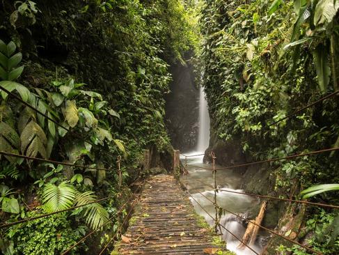 Mindo A Découvrir en Equateur - La Forêt de Mindo
