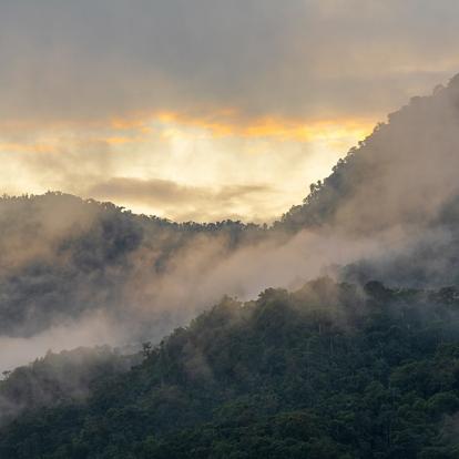 Mindo A Découvrir en Equateur - La Forêt de Mindo