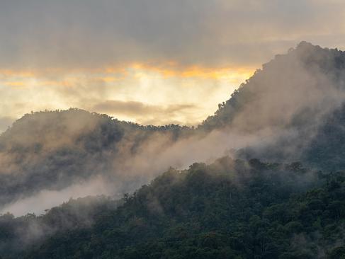 Mindo A Découvrir en Equateur - La Forêt de Mindo