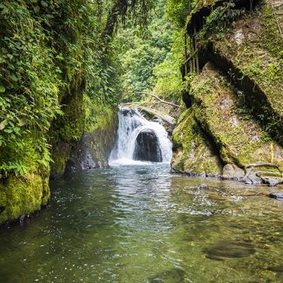 Mindo - Cascade De La Rivière Nambillo A Découvrir en Equateur - La Forêt de Mindo