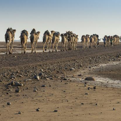 Danakil Depression A Découvrir en Ethiopie - Le Danakil