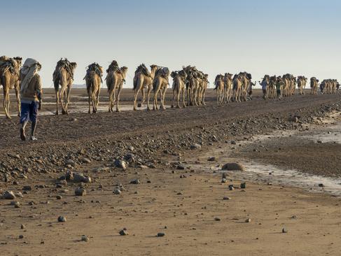 Danakil Depression A Découvrir en Ethiopie - Le Danakil