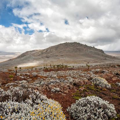 Plateau De Sanetti Dans Le Parc National Des Monts Balé A Découvrir en Ethiopie - Le Parc National de Balé