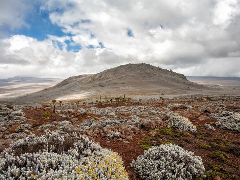 Plateau De Sanetti Dans Le Parc National Des Monts Balé A Découvrir en Ethiopie - Le Parc National de Balé