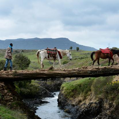 Parc National De Balé A Découvrir en Ethiopie - Le Parc National de Balé