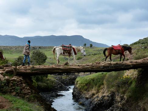 Parc National De Balé A Découvrir en Ethiopie - Le Parc National de Balé