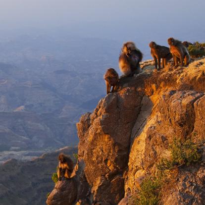 A Découvrir en Ethiopie - Le Parc national du Simien