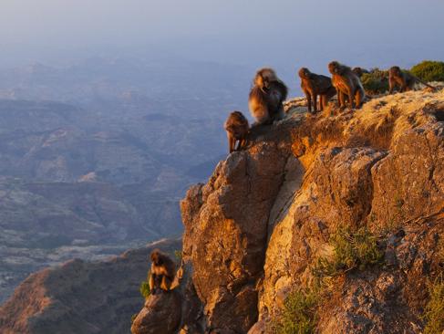 A Découvrir en Ethiopie - Le Parc national du Simien