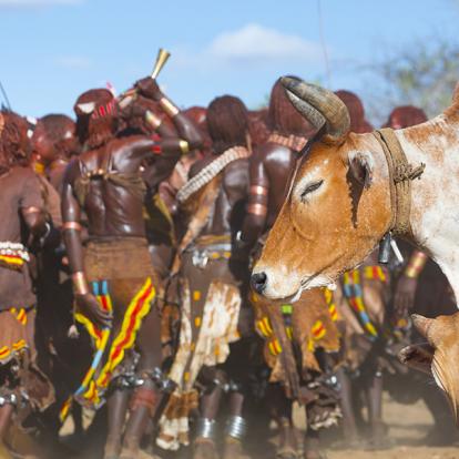 Hamer, Vallée De L'Omo A Découvrir en Ethiopie - La Vallée de l'Omo