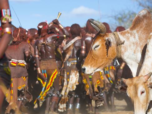 Hamer, Vallée De L'Omo A Découvrir en Ethiopie - La Vallée de l'Omo