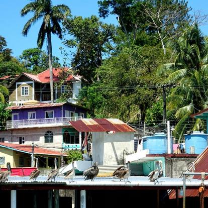 Livingston A Découvrir au Guatemala - Livingston