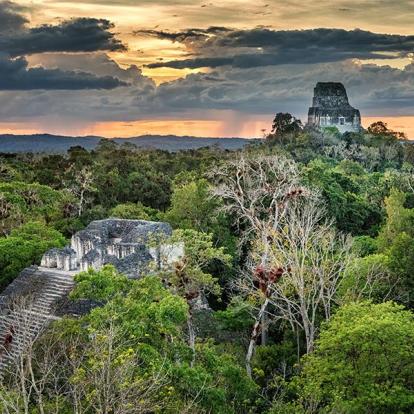 Tikal -Bat Palace et Temple IV A Découvrir au Guatemala - Tikal